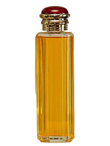 burberry society fragrantica|burberry society perfume for women.